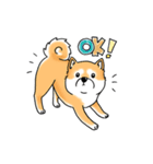 Shiba Inu "Hanapi" ＆ "Kinako" body type（個別スタンプ：1）