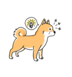 Shiba Inu "Hanapi" ＆ "Kinako" body type（個別スタンプ：13）