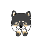 Shiba Inu "Hanapi" ＆ "Kinako" face type（個別スタンプ：6）