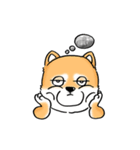 Shiba Inu "Hanapi" ＆ "Kinako" face type（個別スタンプ：20）