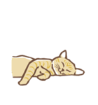 眠る猫（個別スタンプ：36）