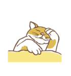 眠る猫（個別スタンプ：37）