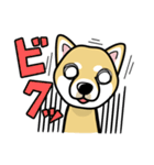 iinu 柴犬（個別スタンプ：9）