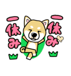 iinu 柴犬（個別スタンプ：11）