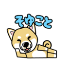 iinu 柴犬（個別スタンプ：15）