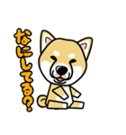 iinu 柴犬（個別スタンプ：16）