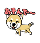 iinu 柴犬（個別スタンプ：17）