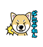 iinu 柴犬（個別スタンプ：19）