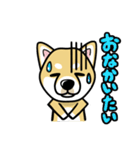 iinu 柴犬（個別スタンプ：21）