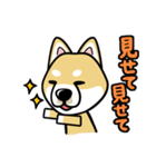 iinu 柴犬（個別スタンプ：22）