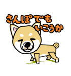 iinu 柴犬（個別スタンプ：23）