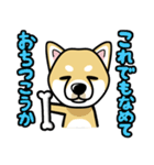 iinu 柴犬（個別スタンプ：24）