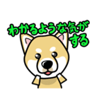 iinu 柴犬（個別スタンプ：25）