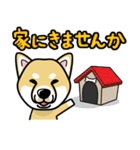 iinu 柴犬（個別スタンプ：28）