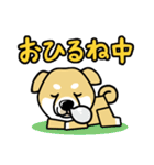 iinu 柴犬（個別スタンプ：36）