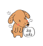 Lucky Happy dog（個別スタンプ：16）