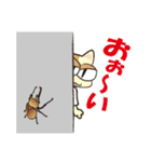 カポエィラねこ "チャコ"（個別スタンプ：23）