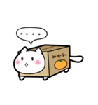 だんぼーるねこ。（個別スタンプ：1）