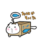 だんぼーるねこ。（個別スタンプ：3）