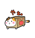 だんぼーるねこ。（個別スタンプ：5）