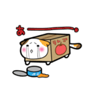 だんぼーるねこ。（個別スタンプ：8）