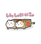 だんぼーるねこ。（個別スタンプ：10）