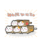 だんぼーるねこ。（個別スタンプ：11）