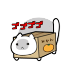 だんぼーるねこ。（個別スタンプ：22）