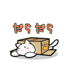 だんぼーるねこ。（個別スタンプ：25）