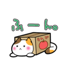 だんぼーるねこ。（個別スタンプ：32）