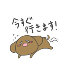 のほほんわんこクッキー（個別スタンプ：25）