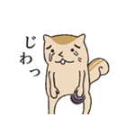 ふしぎないきもの（個別スタンプ：6）