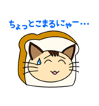 にゃんぱん（個別スタンプ：17）