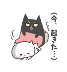 白ねこちゃんの本音（個別スタンプ：10）