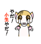 許してください！何でもしますから！（個別スタンプ：38）