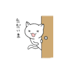 ねこぴょんの感情スタンプ（個別スタンプ：29）