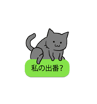 会話を邪魔する猫（個別スタンプ：11）