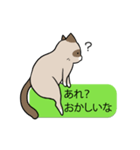 会話を邪魔する猫（個別スタンプ：37）