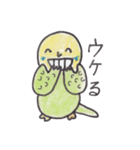 インコ人間（個別スタンプ：11）