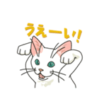 ながらオトモの白い猫（個別スタンプ：2）