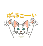 ながらオトモの白い猫（個別スタンプ：7）