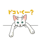 ながらオトモの白い猫（個別スタンプ：12）