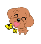 Poodle YaoYao（個別スタンプ：3）