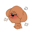 Poodle YaoYao（個別スタンプ：8）