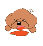 Poodle YaoYao（個別スタンプ：14）