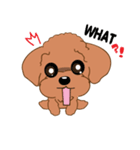 Poodle YaoYao（個別スタンプ：18）