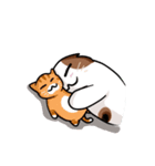 PoJam the Fat Cat ＆ Little Orenji！！（個別スタンプ：34）