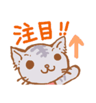 ワンピを着た猫（個別スタンプ：13）