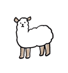 Flufy lama（個別スタンプ：1）