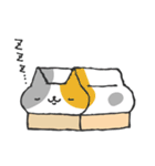 にゃまぼこ（個別スタンプ：36）